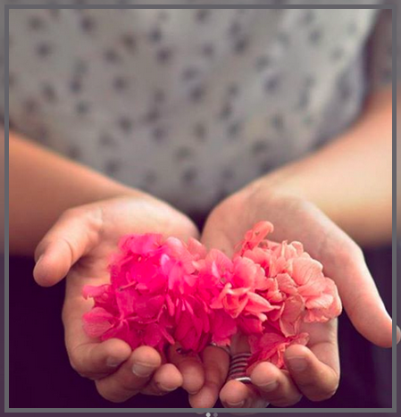 Conseils en fleurs de Bach